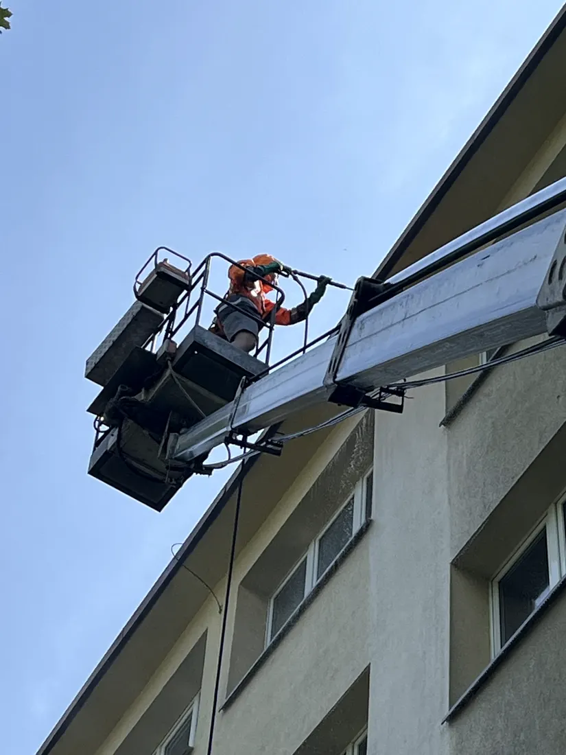 Wycinka drzewa zwyżką w gęstej zabudowie przy bloku